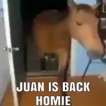 Avatar de Usuario